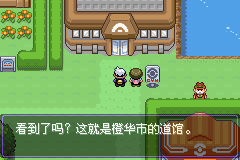 《口袋妖怪漆黑的魅影》5.0图文攻略