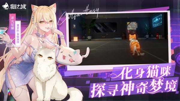 猫之城官方版