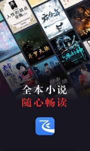飞读小说低配版