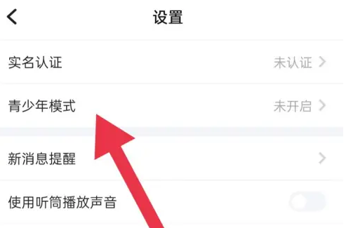 TT语音青少年版