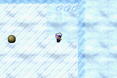 《口袋妖怪漆黑的魅影》5.0图文攻略