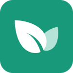 青藤之恋内购版