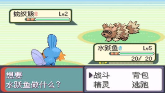 口袋妖怪罪恶的世界