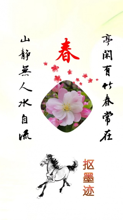 抠图宝