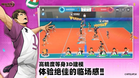 排球少年：新的征程