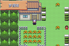 《口袋妖怪漆黑的魅影》5.0图文攻略