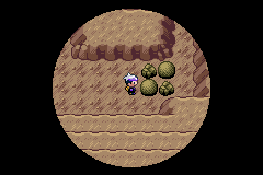 《口袋妖怪漆黑的魅影》5.0图文攻略