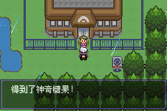 《口袋妖怪漆黑的魅影》5.0图文攻略