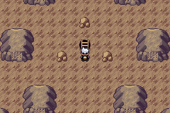 《口袋妖怪漆黑的魅影》5.0图文攻略