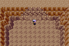 《口袋妖怪漆黑的魅影》5.0图文攻略