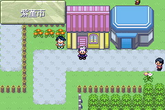 《口袋妖怪漆黑的魅影》5.0图文攻略