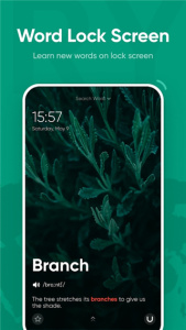 有道词典国际版