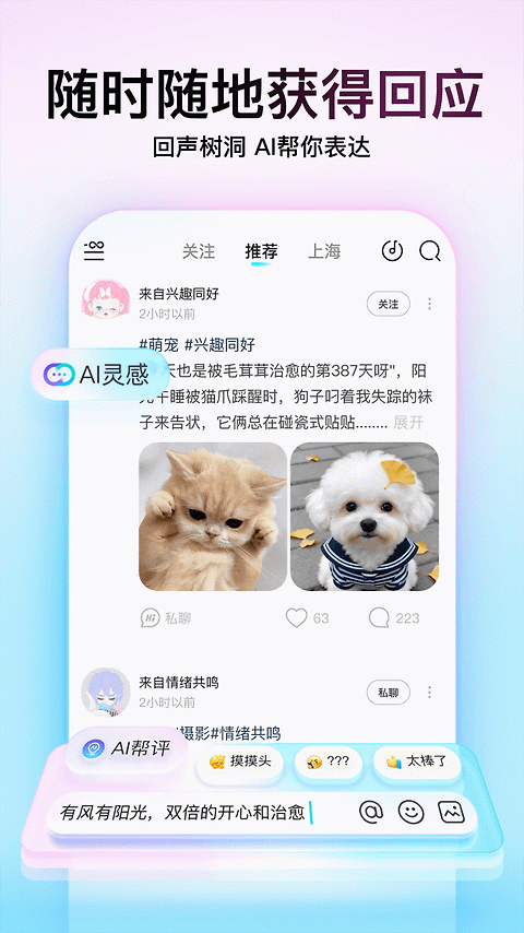 soul内部版