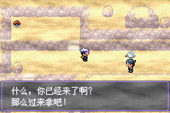 《口袋妖怪漆黑的魅影》5.0图文攻略