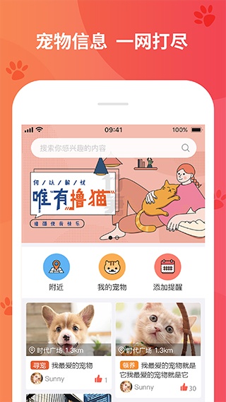 懒洋葱