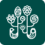 野兽派app