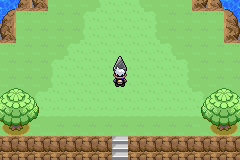 《口袋妖怪漆黑的魅影》5.0图文攻略