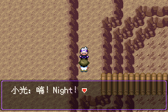 《口袋妖怪漆黑的魅影》5.0图文攻略