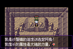 《口袋妖怪漆黑的魅影》5.0图文攻略