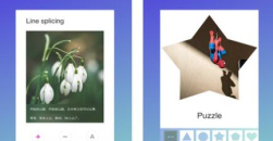 《palipali》活动兑换码分享2022最新