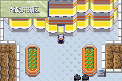 《口袋妖怪漆黑的魅影》5.0图文攻略