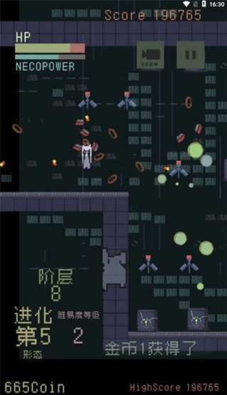 猫咪狂想曲