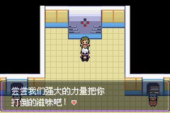 《口袋妖怪漆黑的魅影》5.0图文攻略