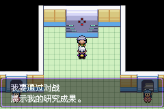 《口袋妖怪漆黑的魅影》5.0图文攻略