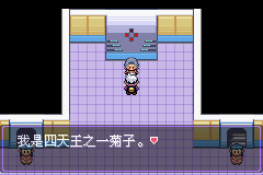 《口袋妖怪漆黑的魅影》5.0图文攻略