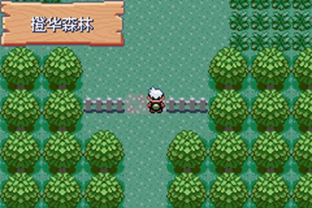 口袋妖怪绿宝石386新汉化版