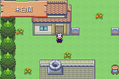 《口袋妖怪漆黑的魅影》5.0图文攻略