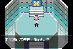 《口袋妖怪漆黑的魅影》5.0图文攻略