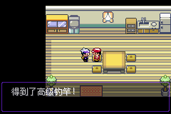 《口袋妖怪漆黑的魅影》5.0图文攻略