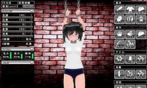 密室调教