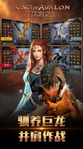 阿瓦隆之王龙之战役