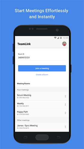 TeamLink