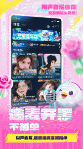 不鸽电竞官方版