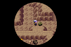 《口袋妖怪漆黑的魅影》5.0图文攻略