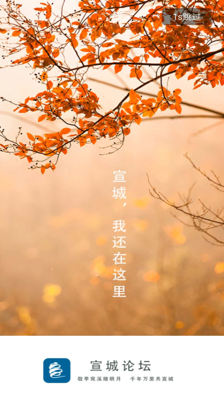 宣城论坛app