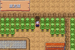 《口袋妖怪漆黑的魅影》5.0图文攻略