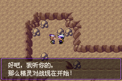 《口袋妖怪漆黑的魅影》5.0图文攻略