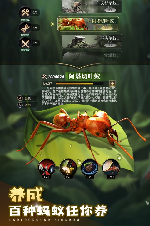 小小蚁国无限食物版
