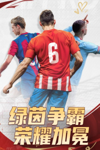 全职荣耀九游版