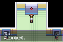 《口袋妖怪漆黑的魅影》5.0图文攻略