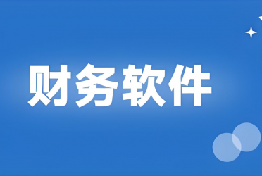 财务软件