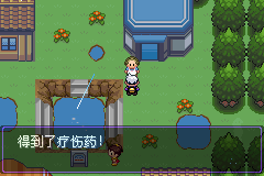 《口袋妖怪漆黑的魅影》5.0图文攻略