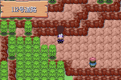 《口袋妖怪漆黑的魅影》5.0图文攻略