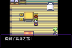 《口袋妖怪漆黑的魅影》5.0图文攻略