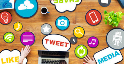 《cy》是什么意思