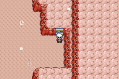 《口袋妖怪漆黑的魅影》5.0图文攻略